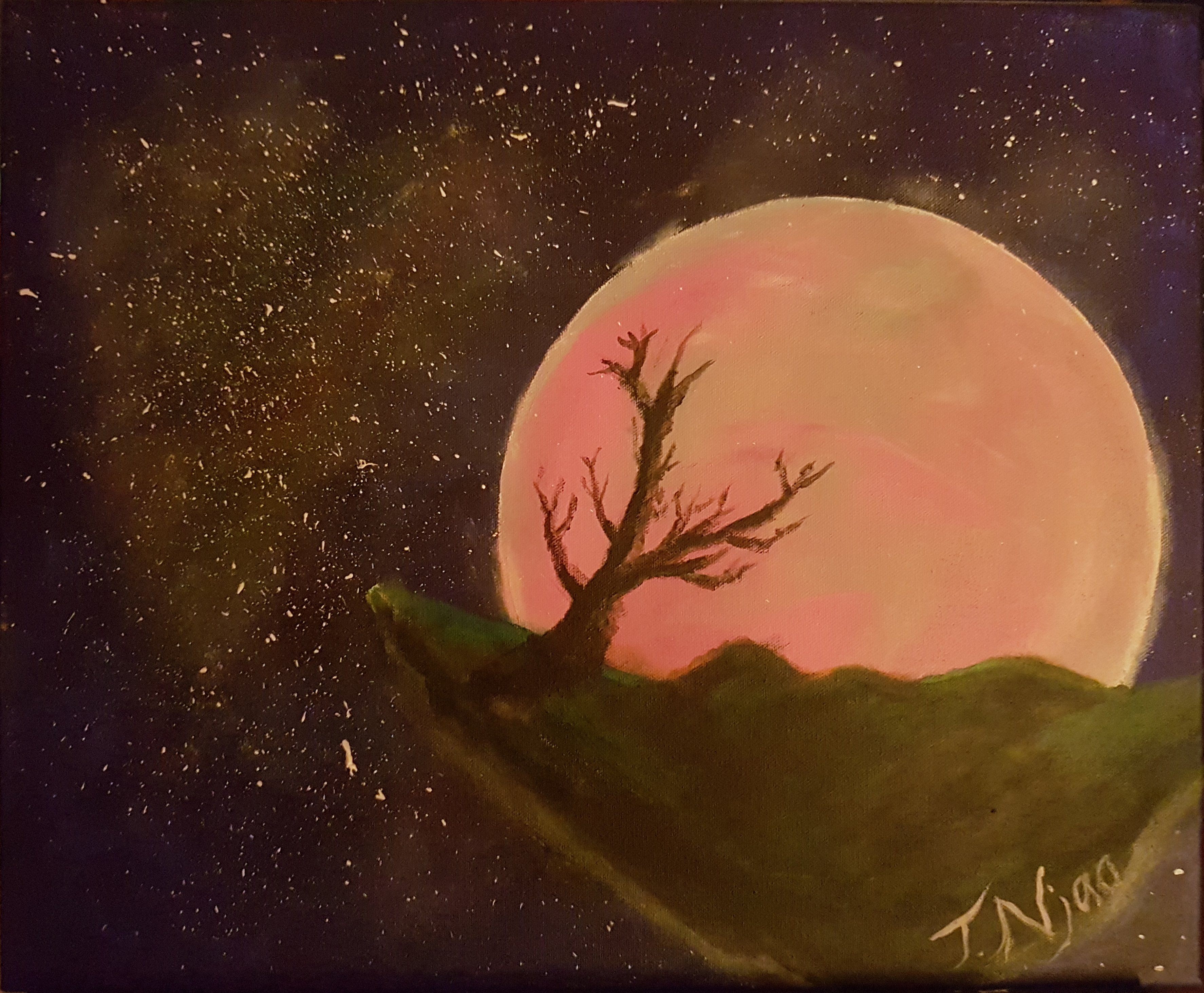Pink Moon